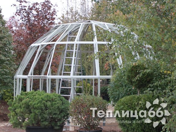 Оранжерея Атриум